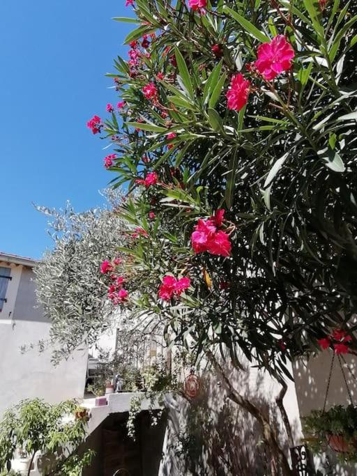 La Chamade Maison De Village Climatisee Lapalud Экстерьер фото