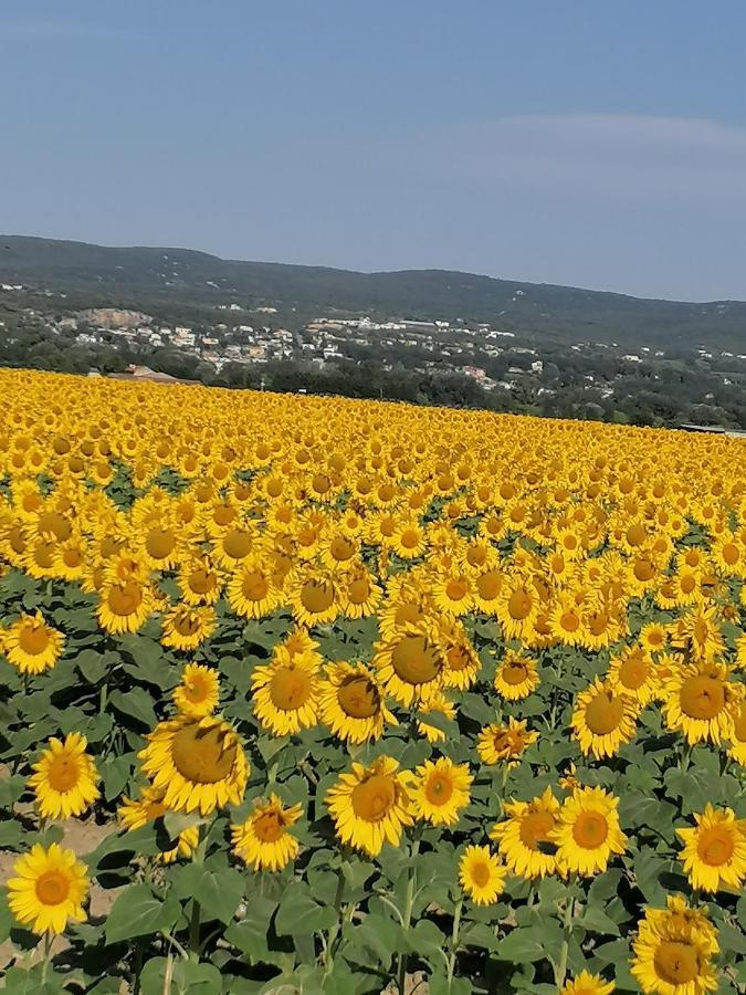 La Chamade Maison De Village Climatisee Lapalud Экстерьер фото